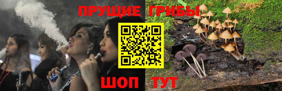 Псилоцибиновые грибы Psilocybe Городец