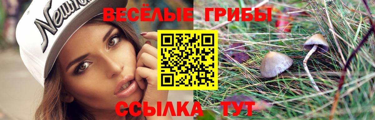 Галлюциногенные грибы прущие грибы  Галлюциногенные грибы ЛСД  Городец  Вход с VPN 