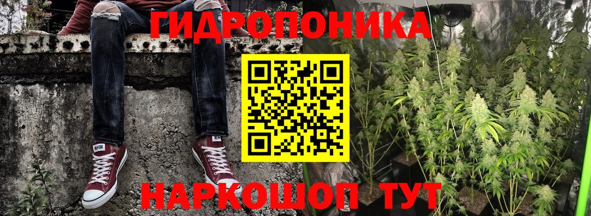 Марихуана семена  Каннабис гибрид  Канабис Ganja  Вход с VPN  Каннабис семена  Городец 
